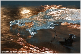 Ijsdruppel in hierdense beek / Icedrop in stream  (Copyright Yvonne van der Mey)