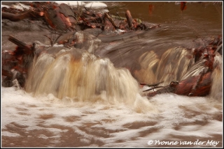 Waterval in hierdense / Beek waterfall (Copyright Yvonne van der Mey)