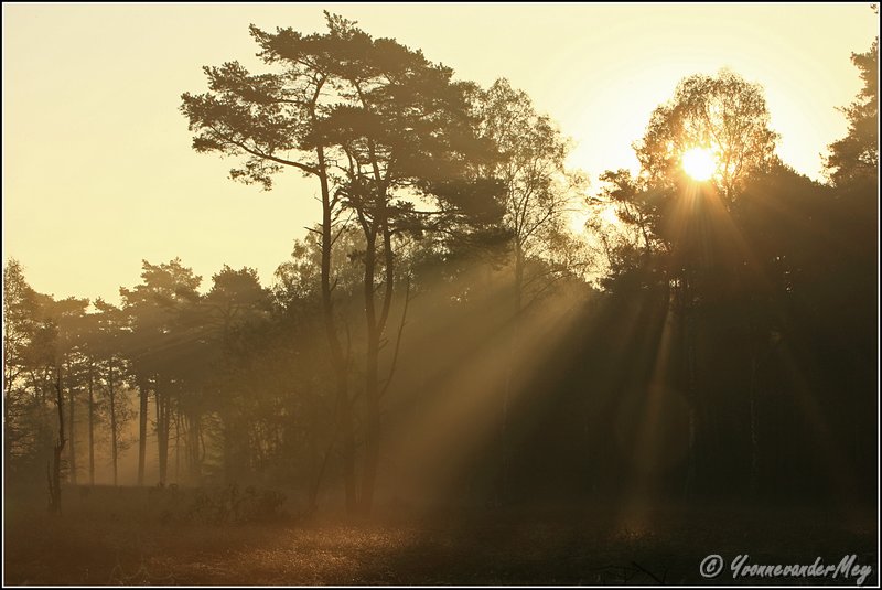 Adembenemend-mooie-zonsopgang-copyright-YvonnevanderMey