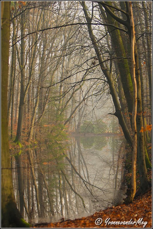 Hierdensebeek-maart-2014-copyright-YvonnevanderMey