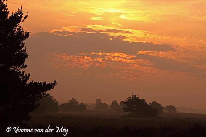 een-gouden-ochtend