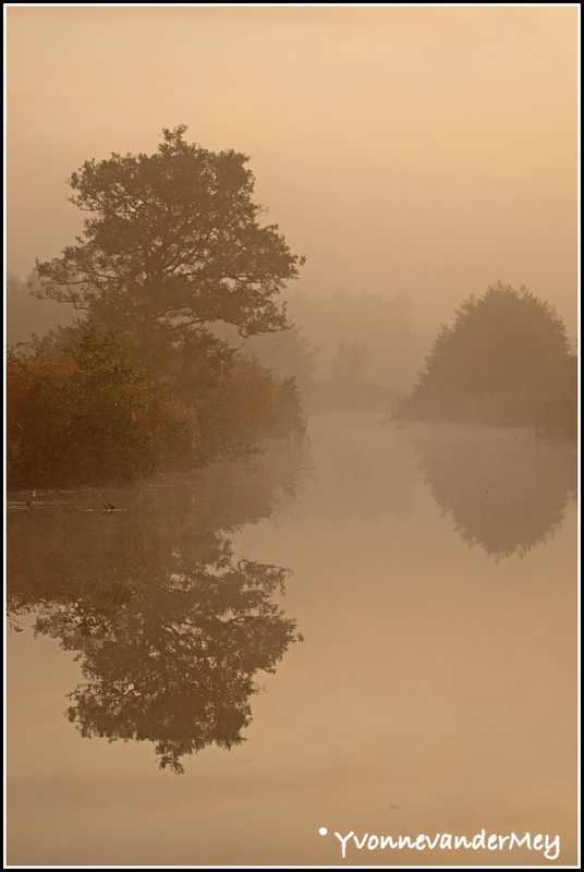 eerste-licht-copyright-yvonnevandermey