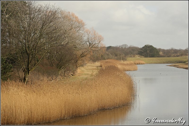 hollandse-schoonheid-copyright-yvonnevandermey