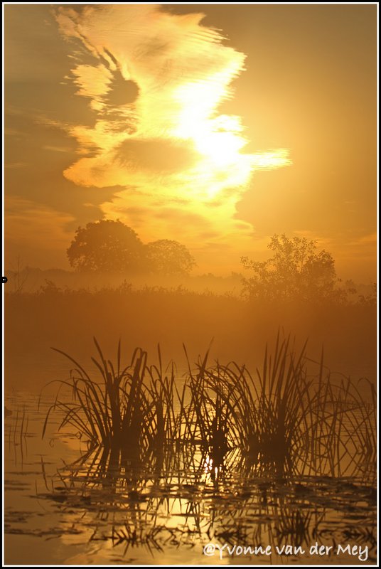 mist-en-zon-in-wieden-copyright-yvonnevandermey