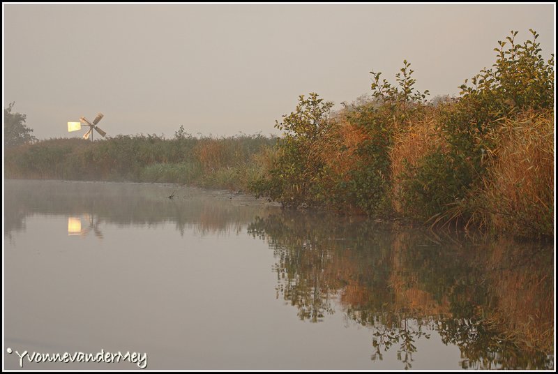mistige-herfstsfeer-in-de-wieden-copyright-yvonnevandermey