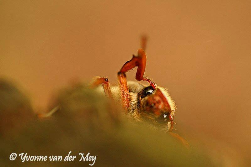 nature-solutes-you