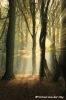 31-fairy-tale-copyright-yvonnevandermey 31-fairy-tale-copyright-yvonnevandermey
