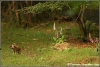 33-stelletje-deugnieten-copyright-yvonnevandermey 33-stelletje-deugnieten-copyright-yvonnevandermey