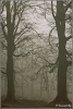 de-wachters-copyright-yvonnevandermey de-wachters-copyright-yvonnevandermey