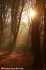 droomsfeer-copyright-yvonnevandermey droomsfeer-copyright-yvonnevandermey