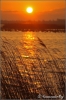 exotische-zonsopgang-copyright-yvonnevandermey exotische-zonsopgang-copyright-yvonnevandermey
