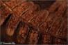 gouwe-ouwe-copyright-yvonnevandermey gouwe-ouwe-copyright-yvonnevandermey