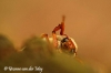 nature-solutes-you nature-solutes-you