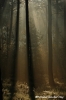 prachtige-sfeer-copyright-yvonnevandermey prachtige-sfeer-copyright-yvonnevandermey