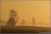 serene-sfeer-copyright-yvonnevandermey serene-sfeer-copyright-yvonnevandermey
