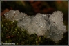 sterrenschot-copyright-yvonnevandermey sterrenschot-copyright-yvonnevandermey