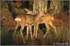 taking-care-copyright-yvonnevandermey taking-care-copyright-yvonnevandermey