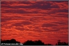 sunrise-near-talamati-after-severe-storm-zonsopgang-bij-talamati-na-zware-storm-copyright-yvonnevandermey sunrise-near-talamati-after-severe-storm-zonsopgang-bij-talamati-na-zware-storm-copyright-yvonnevandermey