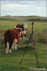 In-de-rij-voor-de-fotograaf-copyright-YvonnevanderMey