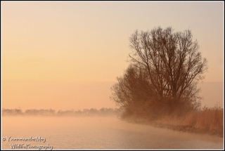 Schilderachtige-zonsopgang-Wieden-copyright-YvonnevanderMey.jpg