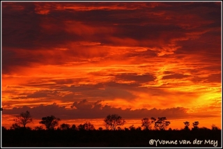 Zonsopgang ten noorden van Shingwedzi/Sunrise north of Shingwezi (copyright Yvonne van der Mey)