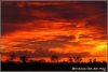 Zonsopgang ten noorden van Shingwedzi/Sunrise north of Shingwezi (copyright Yvonne van der Mey) Zonsopgang ten noorden van Shingwedzi/Sunrise north of Shingwezi (copyright Yvonne van der Mey)