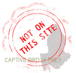 CAPTIVE BIRDS of PREY