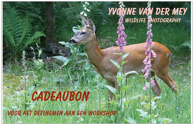 voorzijde cadeaubon workshop